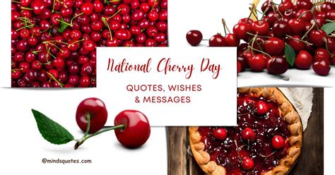 national cherry day messages.